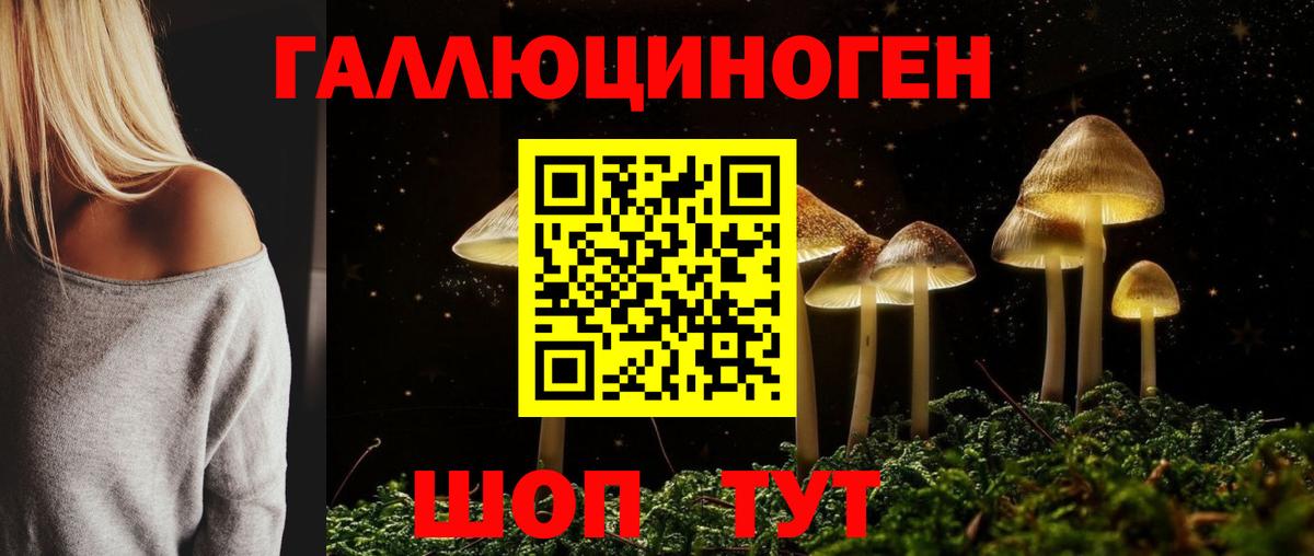 Псилоцибиновые грибы Magic Shrooms  где купить наркоту  Чистополь  Вход с VPN 